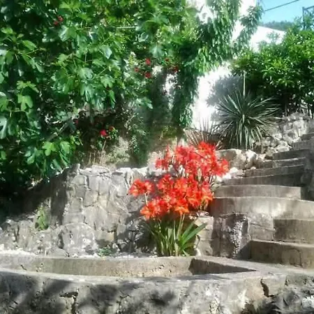 Apartman Angel Sea View